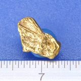 AXJY̍ No.49