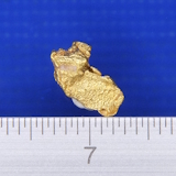 �V�R�����̗�����i�����ʐ^�j