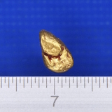 �V�R�����̗�����i�����ʐ^�j