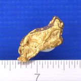 砂金（実物写真）