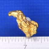 砂金（実物写真）